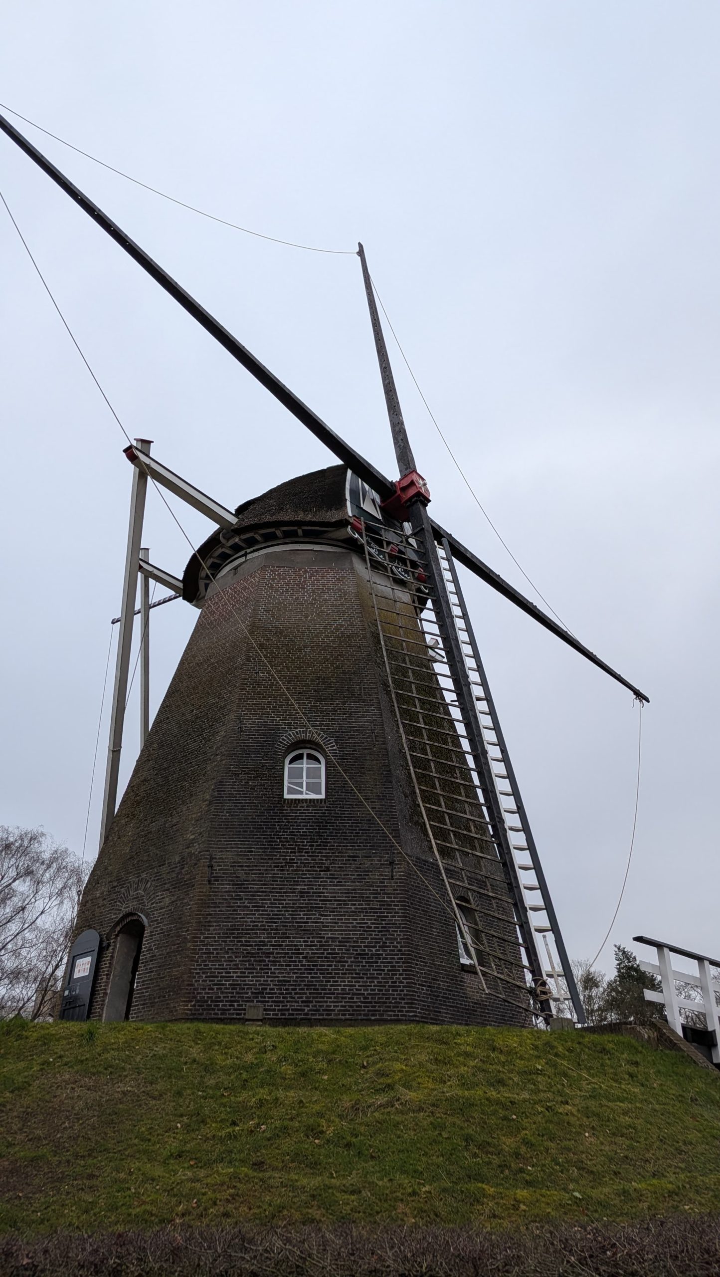 De nieuwe roeden van de Keetmolen (dag 1)